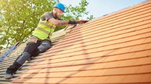 Best Roof Maintenance and Cleaning  in Ionia, MI