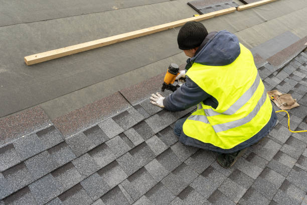 Best Roof Leak Repair  in Ionia, MI