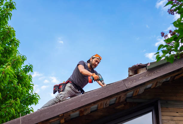 Best Roof Maintenance and Cleaning  in Ionia, MI