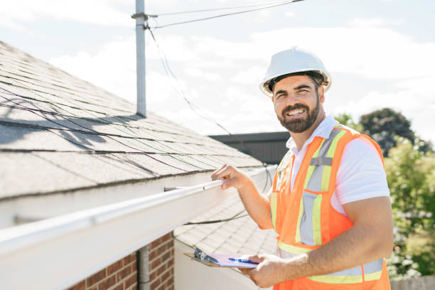Best Chimney Flashing Repair  in Ionia, MI