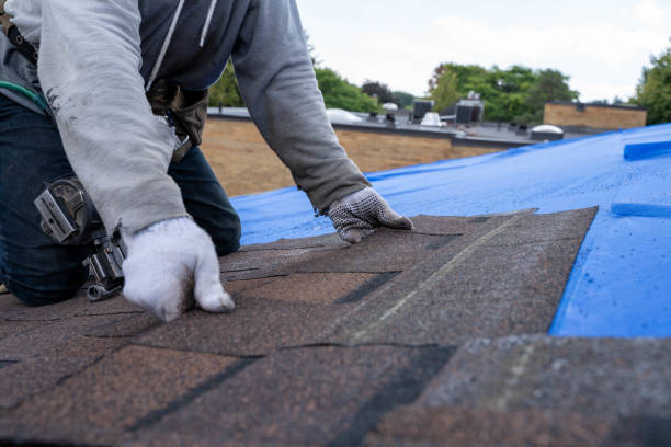 Best Roof Repair  in Ionia, MI