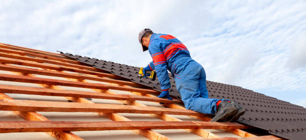 Best Skylight Installation and Repair  in Ionia, MI