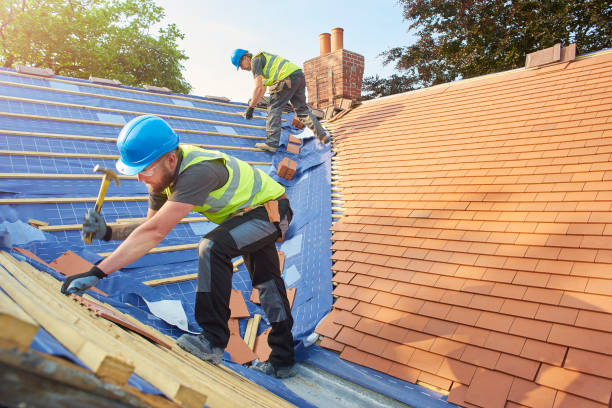 Best Roof Replacement  in Ionia, MI
